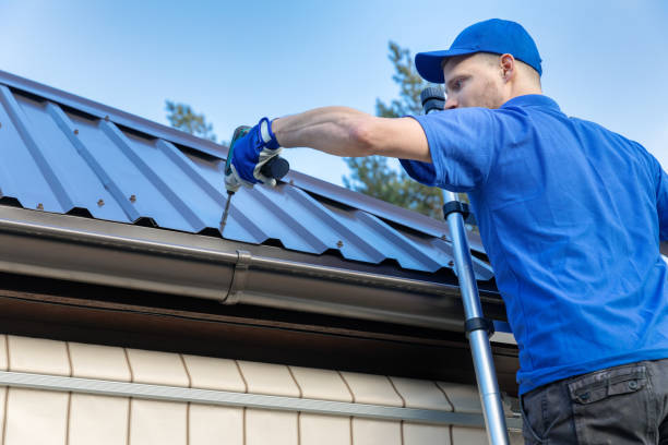 Best Roof Moss and Algae Removal  in Oildale, CA